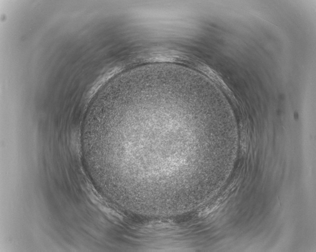 X0000060810386200511141512