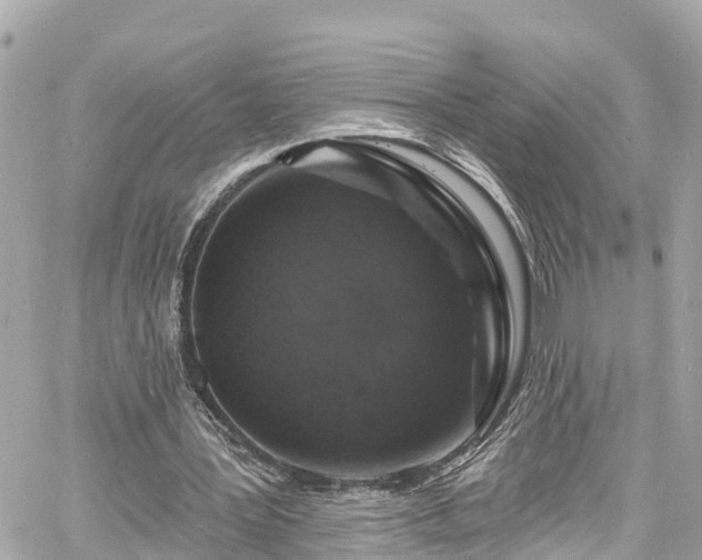 X0000060810387200511141512