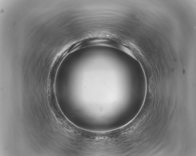 X0000060810388200511141512