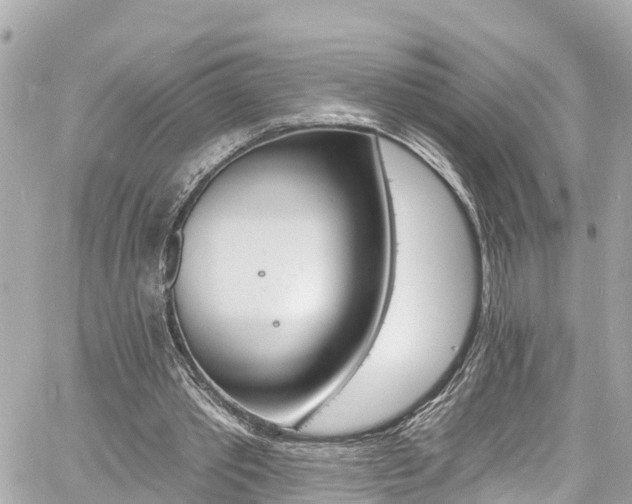 X0000060810389200511141512