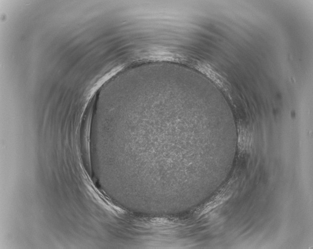 X0000060810390200511141512