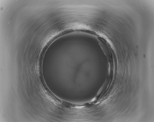 X0000060810391200511141512