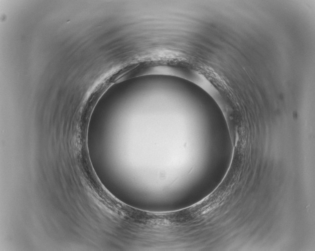 X0000060810392200511141512