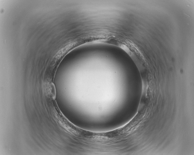 X0000060810393200511141512