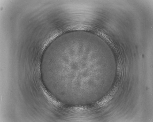 X0000060810394200511141512