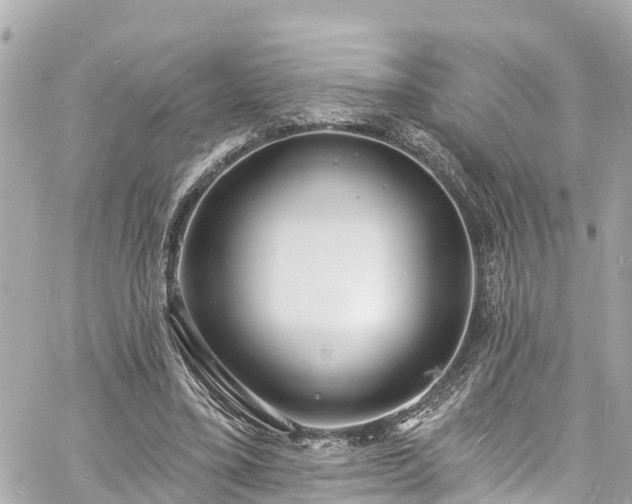 X0000060810395200511141512