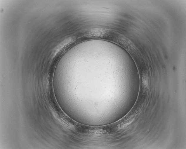 X0000060810396200511141512