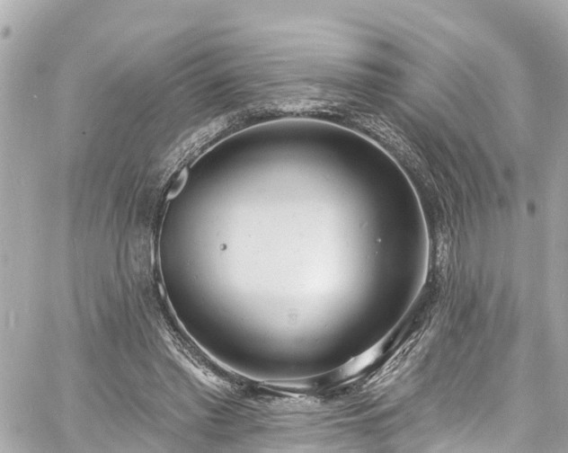 X0000060810397200511141512