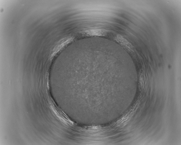 X0000060810398200511141512