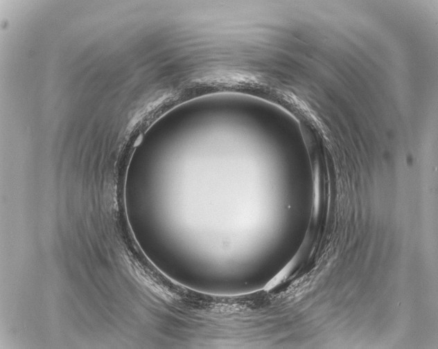 X0000060810399200511141512