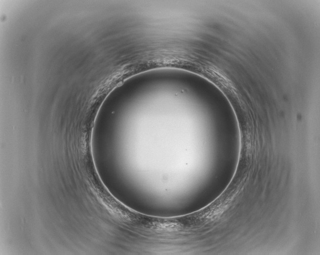 X0000060810401200511141511