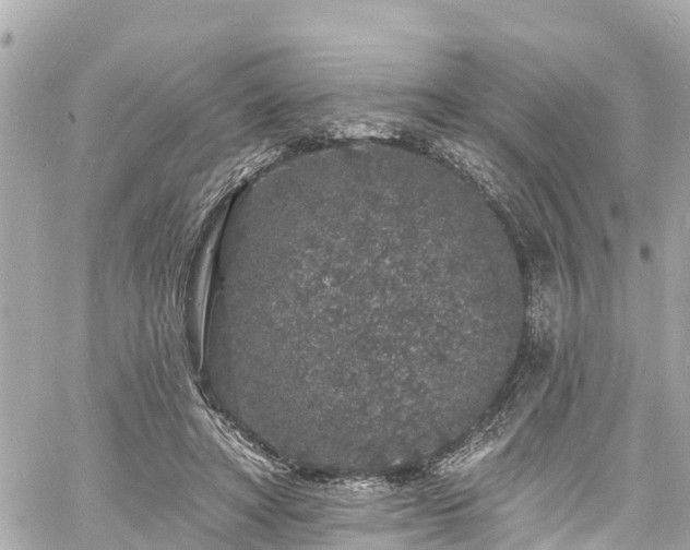 X0000060810402200511141511