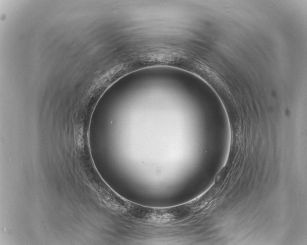 X0000060810403200511141511