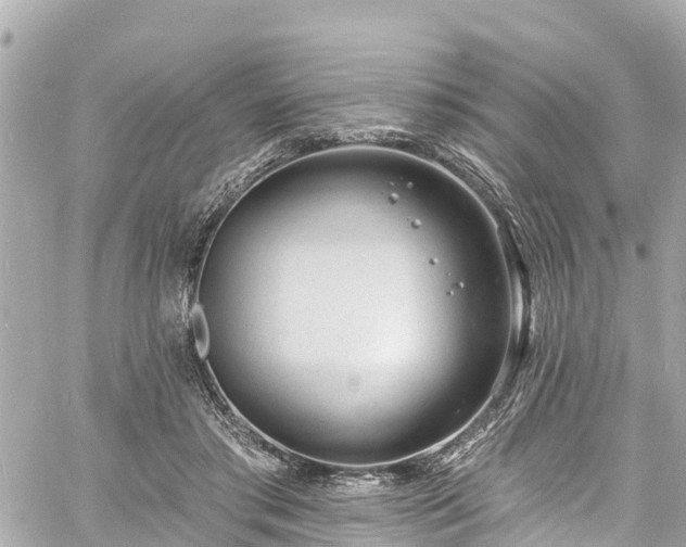 X0000060810405200511141511