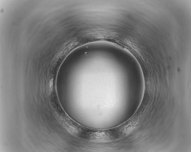 X0000060810406200511141511