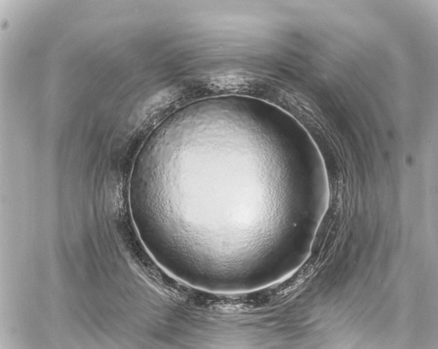 X0000060810408200511141511