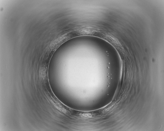 X0000060810409200511141511