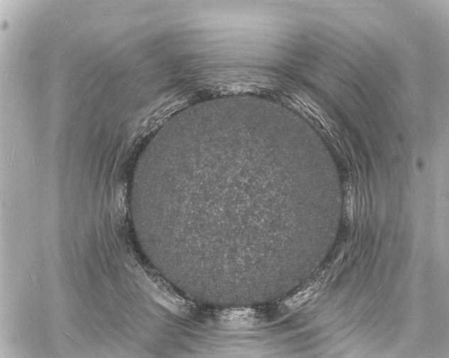 X0000060810410200511141511