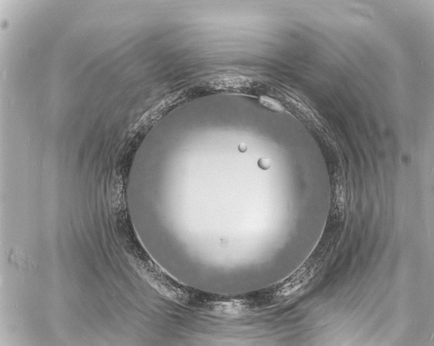 X0000060810411200511141511