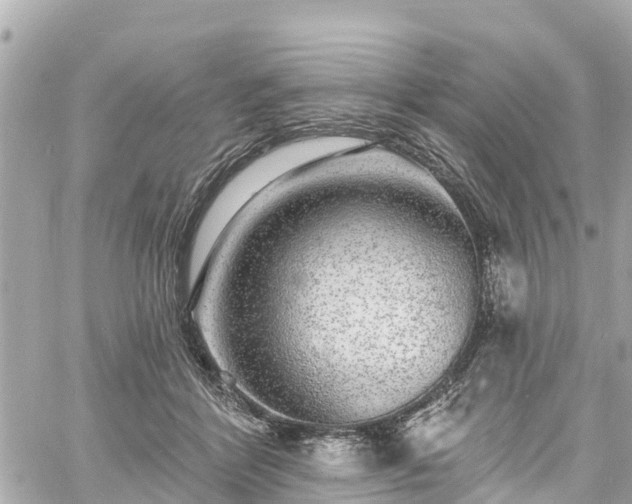 X0000060810412200511141511