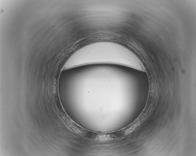 X0000060810413200511141511