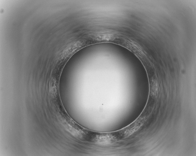 X0000060810414200511141511