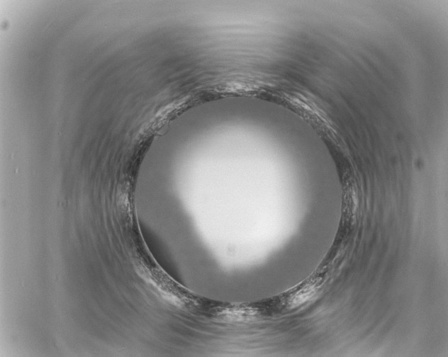 X0000060810415200511141511