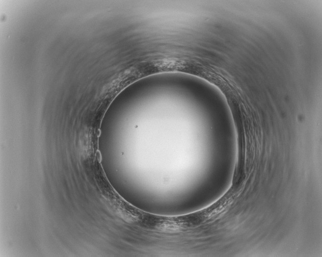 X0000060810416200511141511