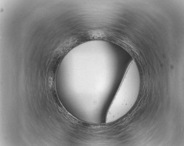 X0000060810417200511141511