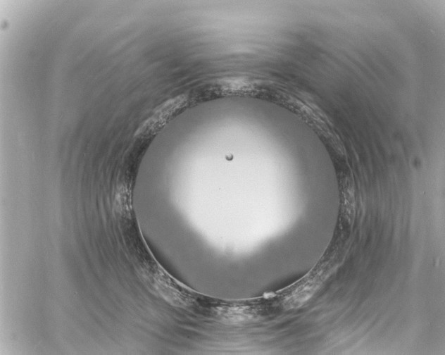 X0000060810419200511141511