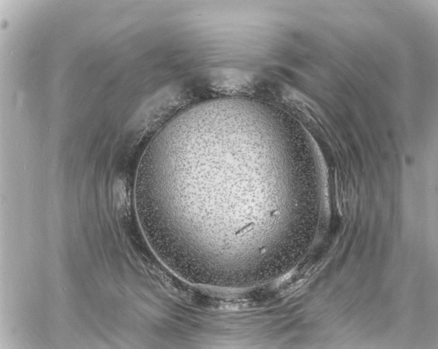 X0000060810420200511141511