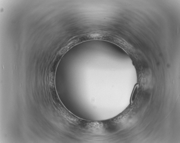 X0000060810421200511141511