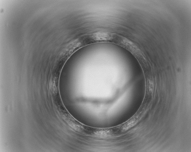 X0000060810422200511141511