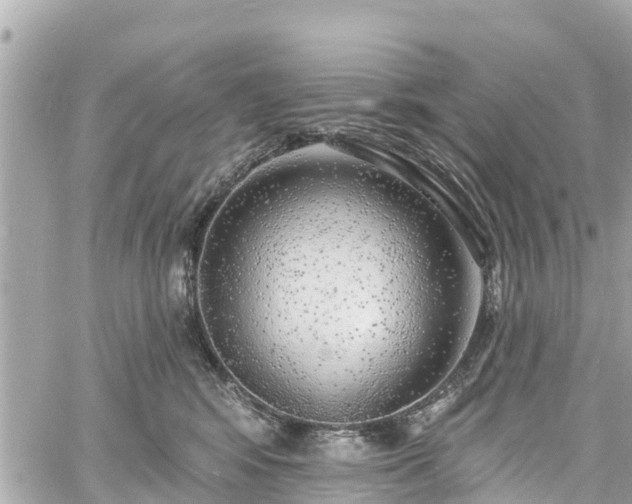 X0000060810424200511141511