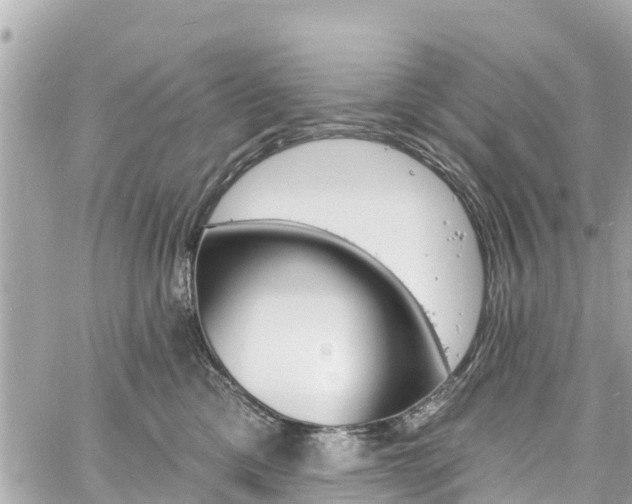 X0000060810425200511141511