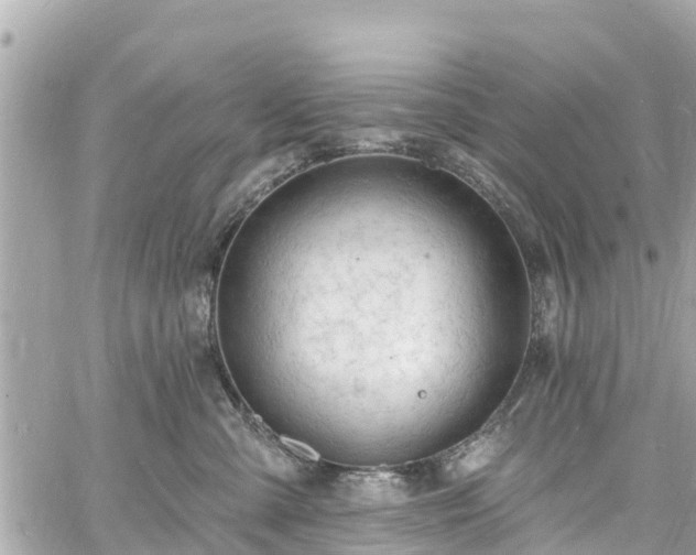 X0000060810427200511141511