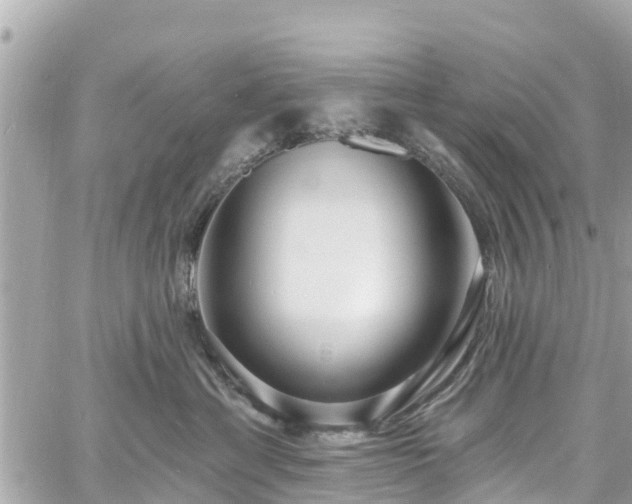 X0000060810429200511141511