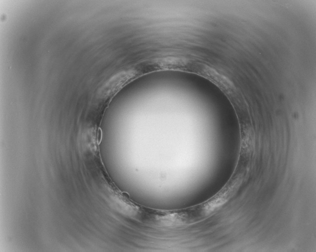 X0000060810430200511141511