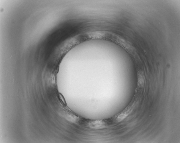 X0000060810431200511141511