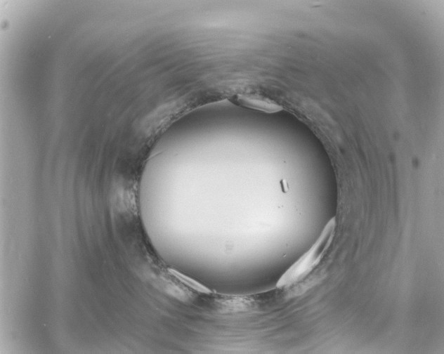 X0000060810432200511141511