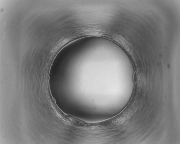 X0000060810433200511141510