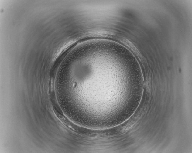 X0000060810434200511141510