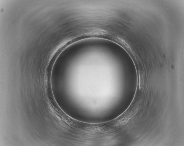 X0000060810435200511141510