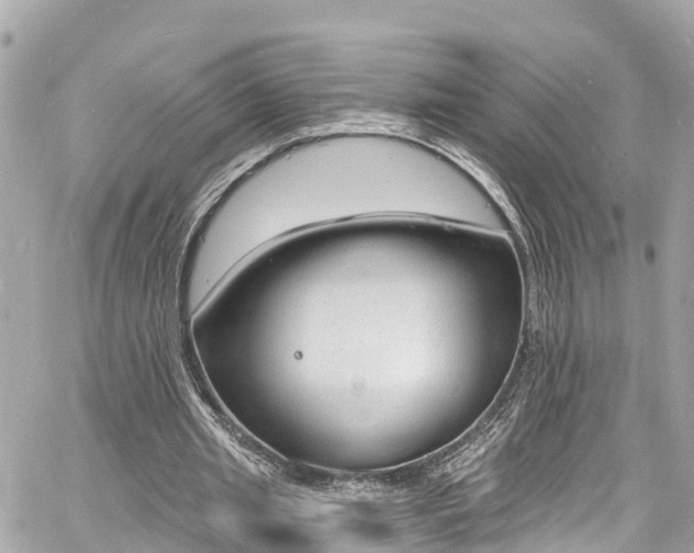 X0000060810437200511141510