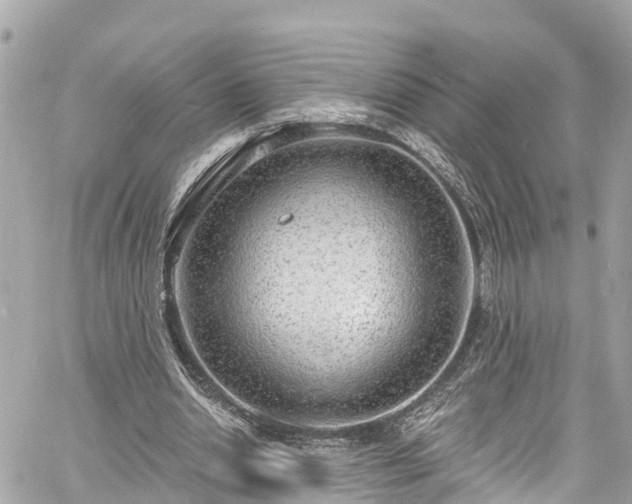 X0000060810438200511141510