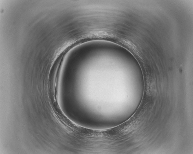 X0000060810439200511141510