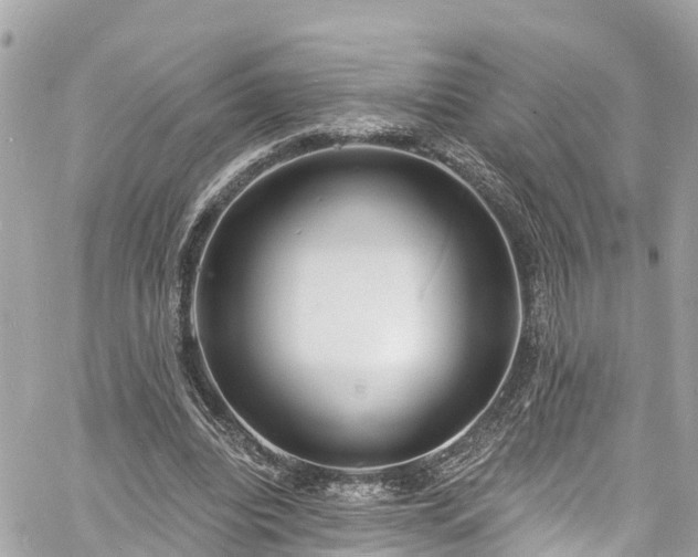 X0000060810440200511141510