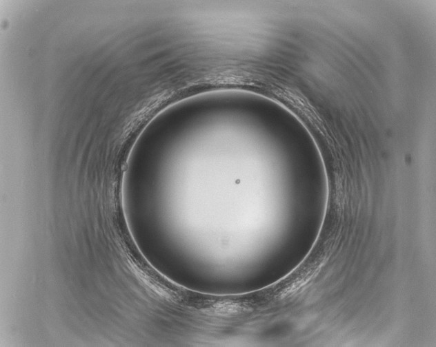 X0000060810441200511141510