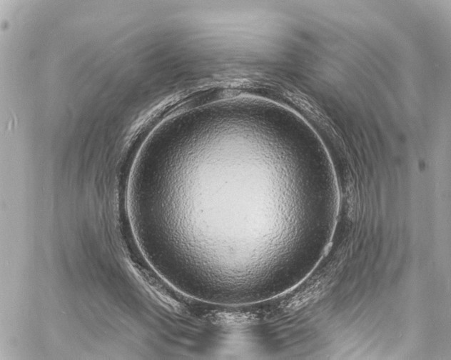 X0000060810442200511141510