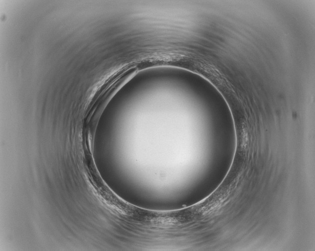 X0000060810444200511141510